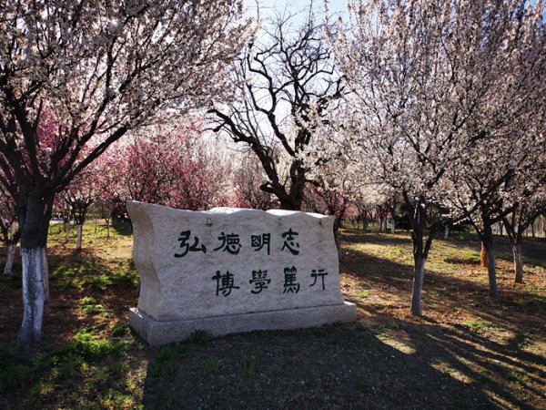 山东师范大学全国排名