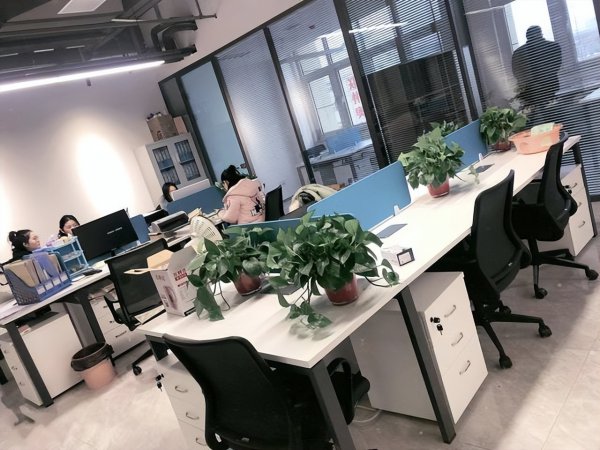 初级会计几年不继续教育作废