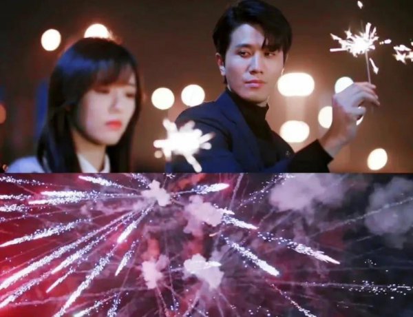 掌中之物讲的是什么内容