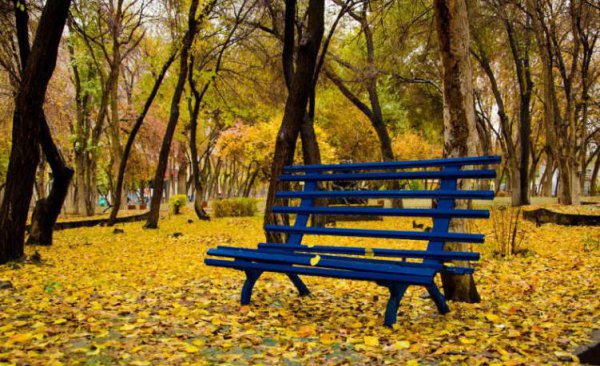 石河子大学水平怎么样