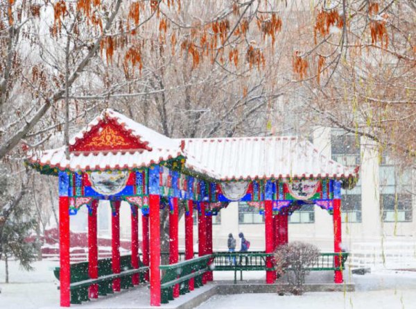 石河子大学水平怎么样