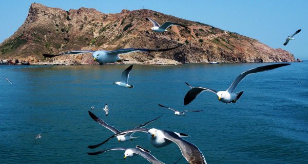 山东几个地级市几个县