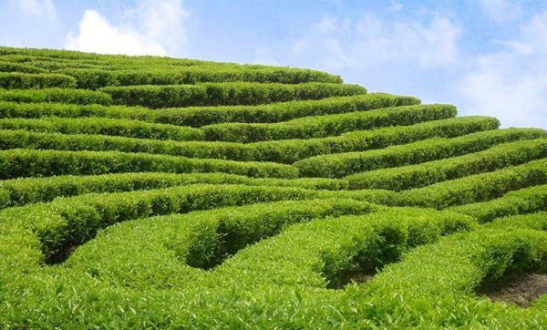 黄冈旅游景点有哪些