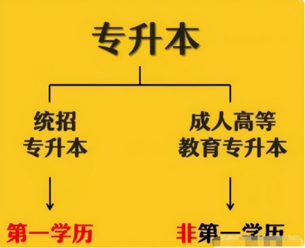 统招本科是什么意思