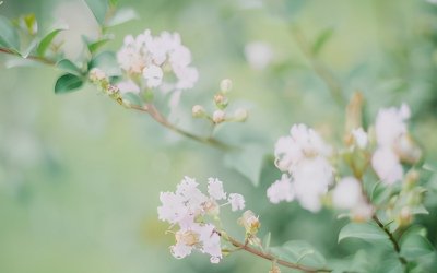 真正有钱人喜欢什么样的女孩 富二代会喜欢什么样的女生