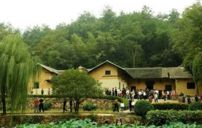 种桑树的风水禁忌 在家门口种桑树是不是影响风水