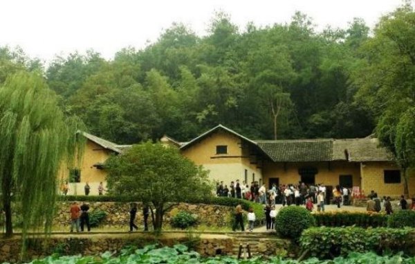 种桑树的风水禁忌