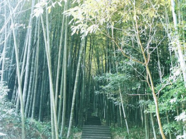 重庆网红景点排行榜前十名