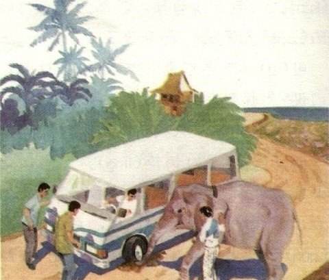 傣族和泰国有什么关系