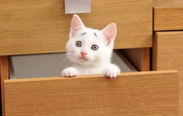 找不到工作很焦虑怎么办