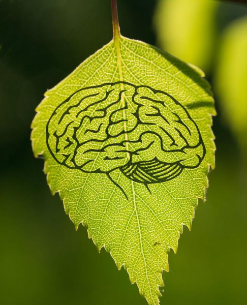 韩昭侯是怎样一个人