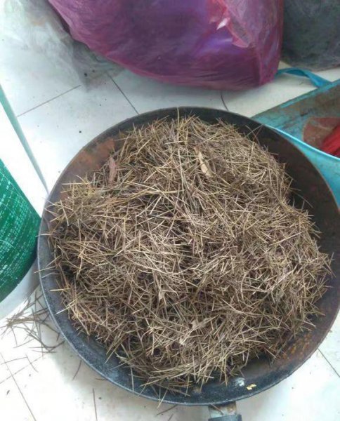 怎么把黄土变松软肥沃