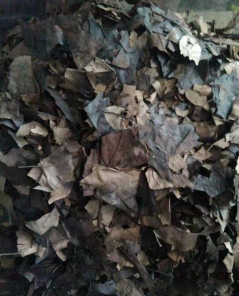 怎么把黄土变松软肥沃