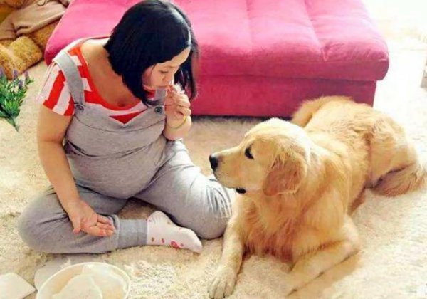 猫为什么喜欢孕妇