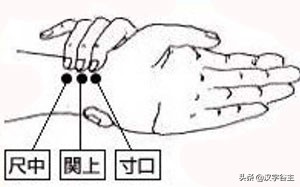 古代长度单位的来历起源