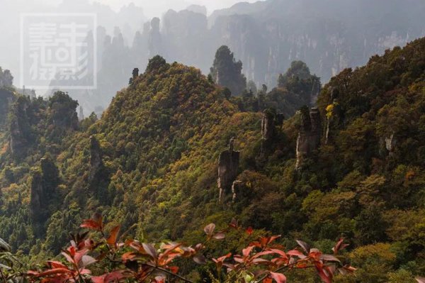 像素px是什么意思