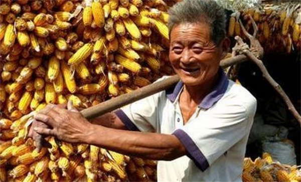 银行押运员一个月薪资多少钱