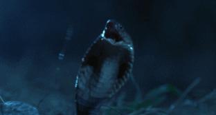 网红宁采臣事件是什么