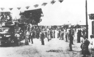 新加坡语言是什么语种 新加坡的四种官方语言和文字