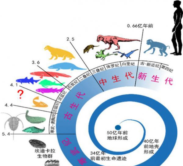 史前十大海洋巨兽排行榜