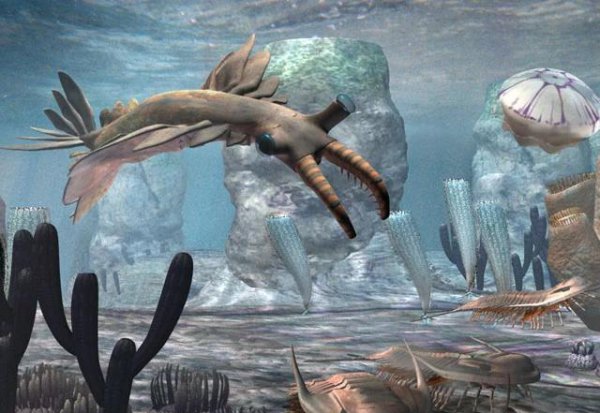 史前十大海洋巨兽排行榜