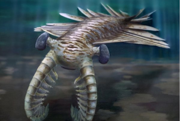 史前十大海洋巨兽排行榜