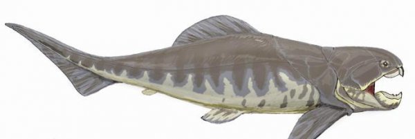 史前十大海洋巨兽排行榜