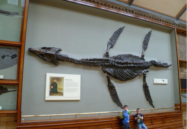 史前十大海洋巨兽排行榜