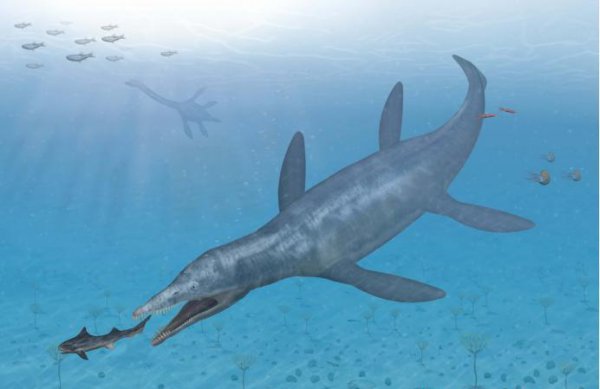 史前十大海洋巨兽排行榜