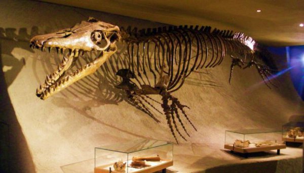 史前十大海洋巨兽排行榜