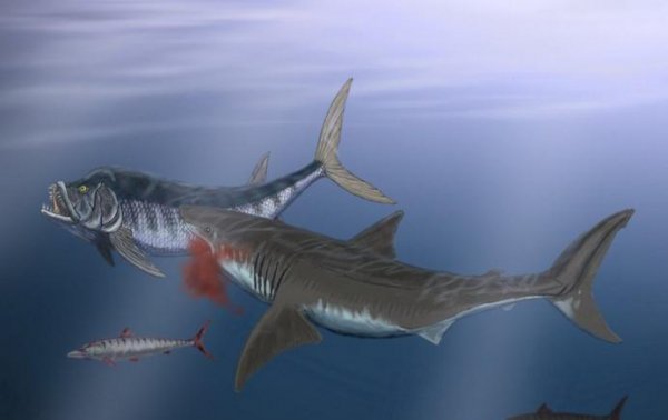 史前十大海洋巨兽排行榜