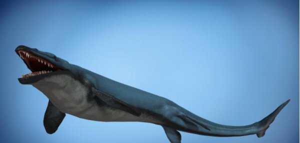 史前十大海洋巨兽排行榜
