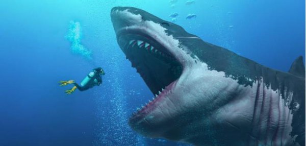 史前十大海洋巨兽排行榜