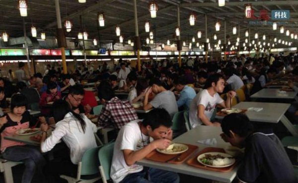 进厂打工有前途吗