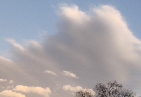 乡镇事业编5年后去哪