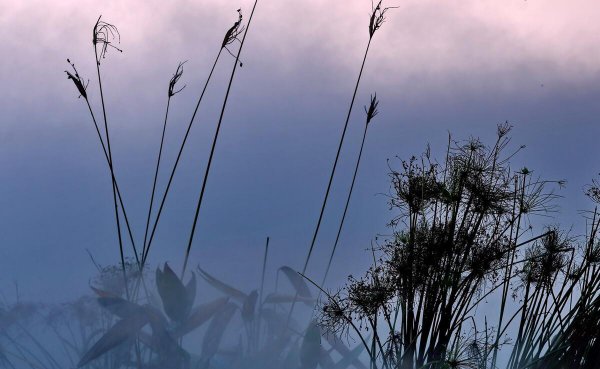 乡镇事业编5年后去哪