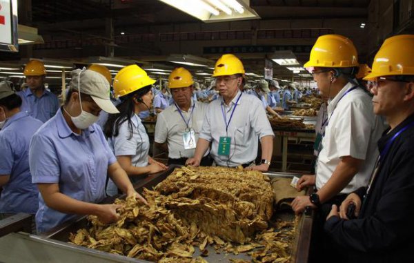 女孩想进烟草公司考什么专业