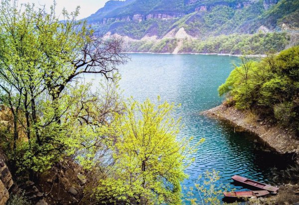 诗中佳作滁州西涧的作者是谁