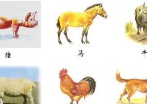 六畜兴旺中的六畜是指哪六畜