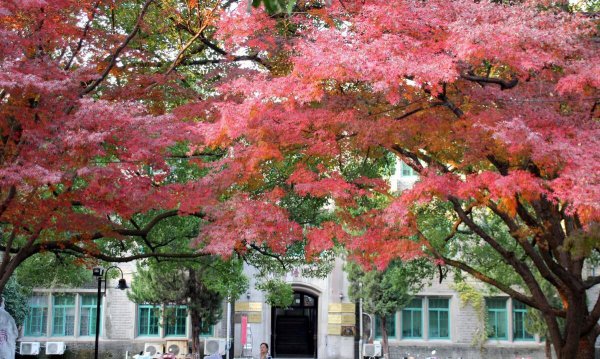 苏州大学专业排名情况