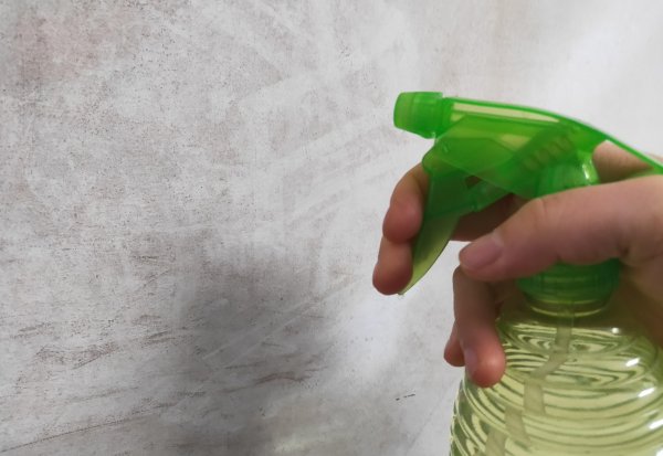 墙体潮湿发霉怎么处理方法