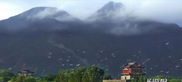 山海关在哪个省的什么位置