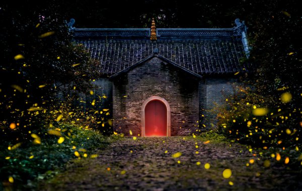 萤火虫为什么会发光的原因