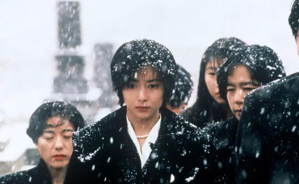 藤井树是什么意思