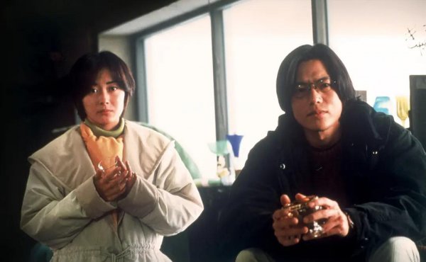 藤井树是什么意思