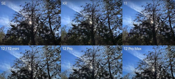 苹果xr重量为多少g