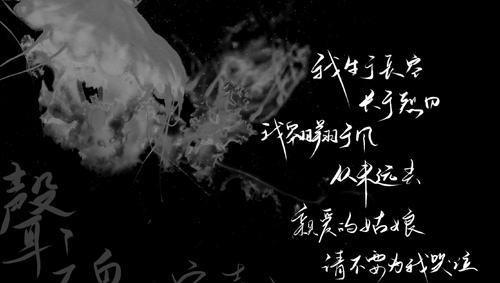 你知道宋声声是谁吗