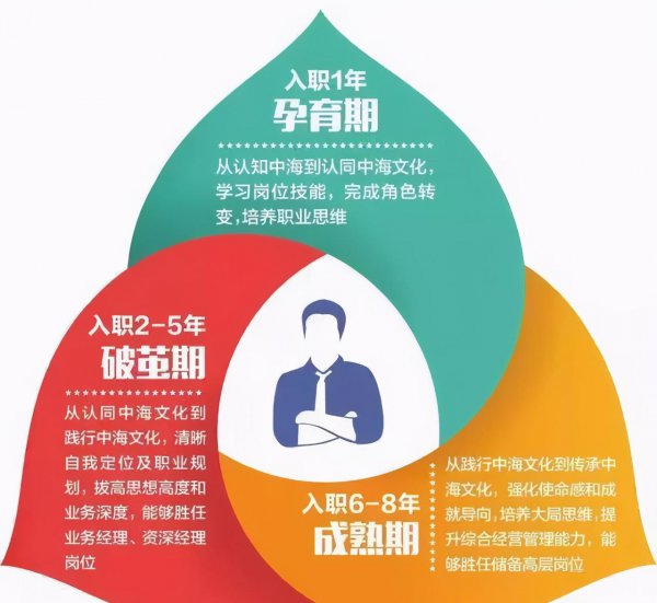 管培生是什么职位类别