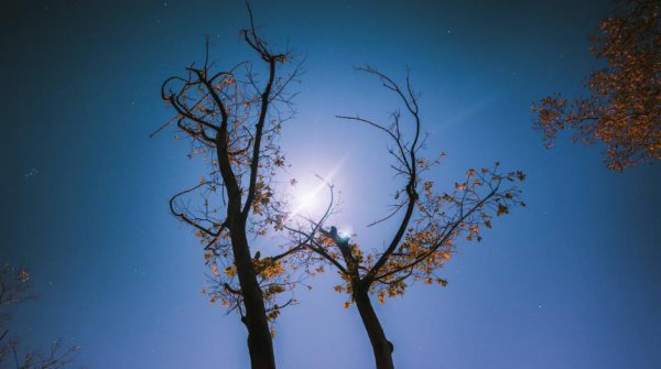 李贺最恐怖的一首诗