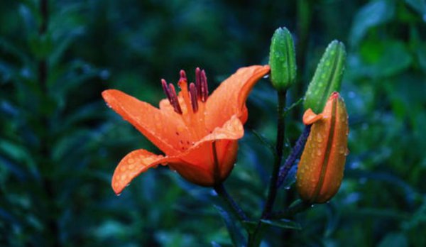 李贺最恐怖的一首诗